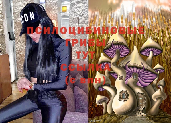 гидропоника Воткинск