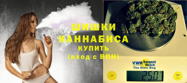молекула духа Пересвет