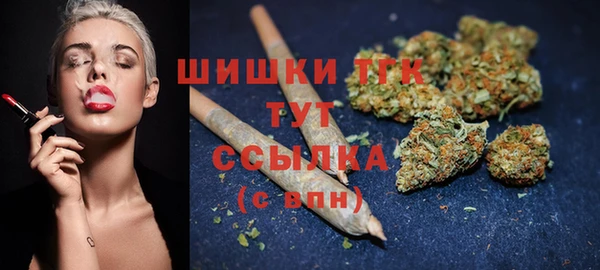 стафф Вуктыл