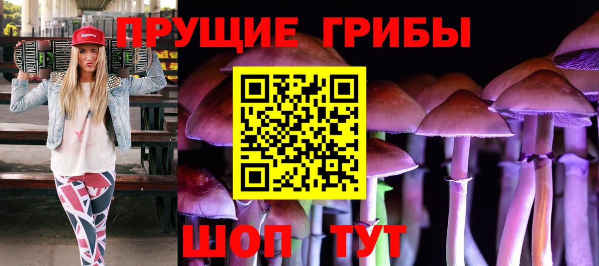 Псилоцибиновые грибы мицелий Котельники