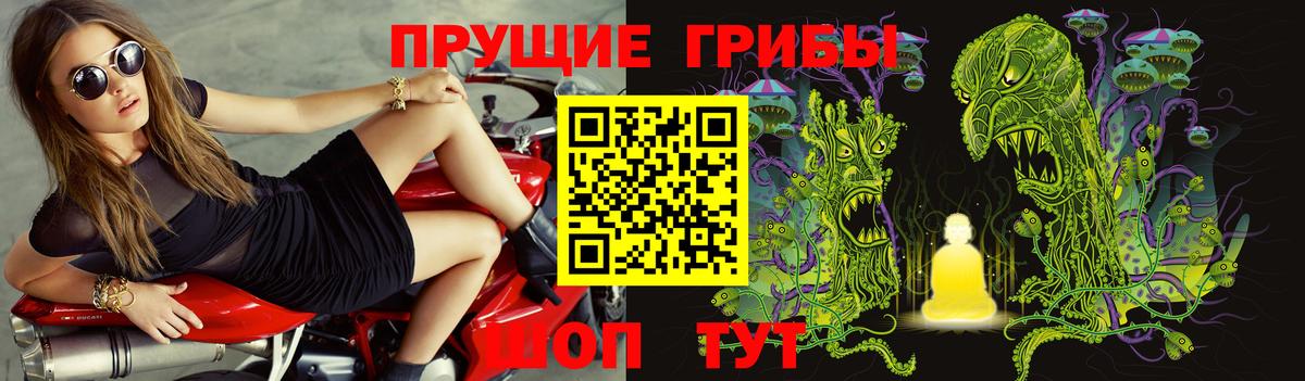 Галлюциногенные грибы мухоморы  Котельники  где найти наркотики  Галлюциногенные грибы прущие грибы 