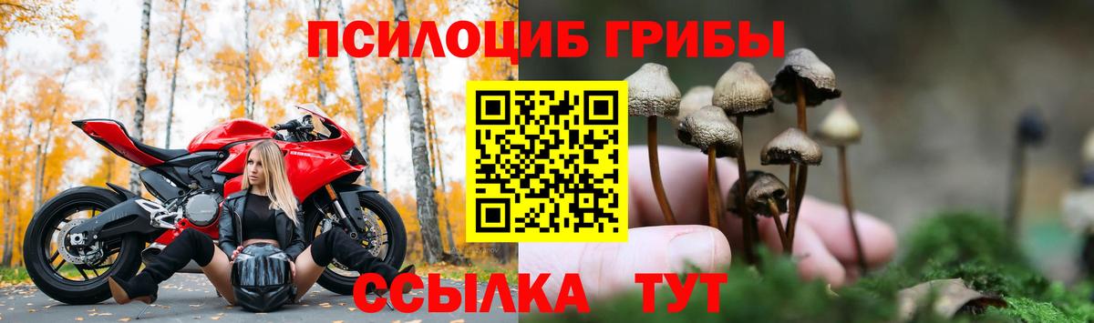 Псилоцибиновые грибы GOLDEN TEACHER  Вход с VPN  Котельники 