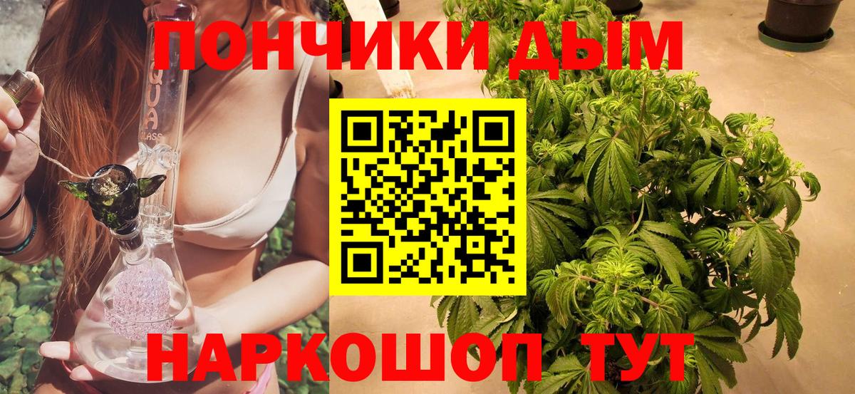 Каннабис ГИДРОПОН Котельники
